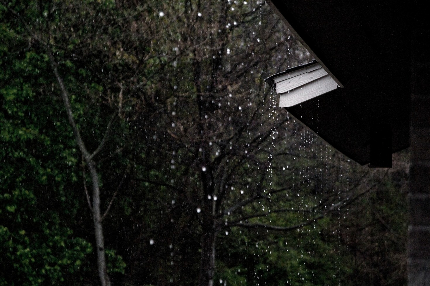Navigating life through the black rain