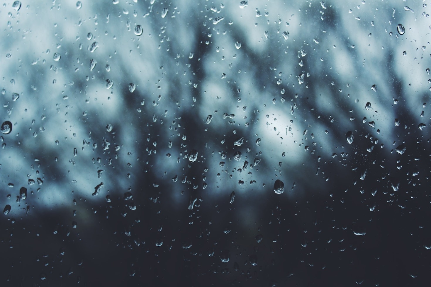 Why we seek beauty in darkness