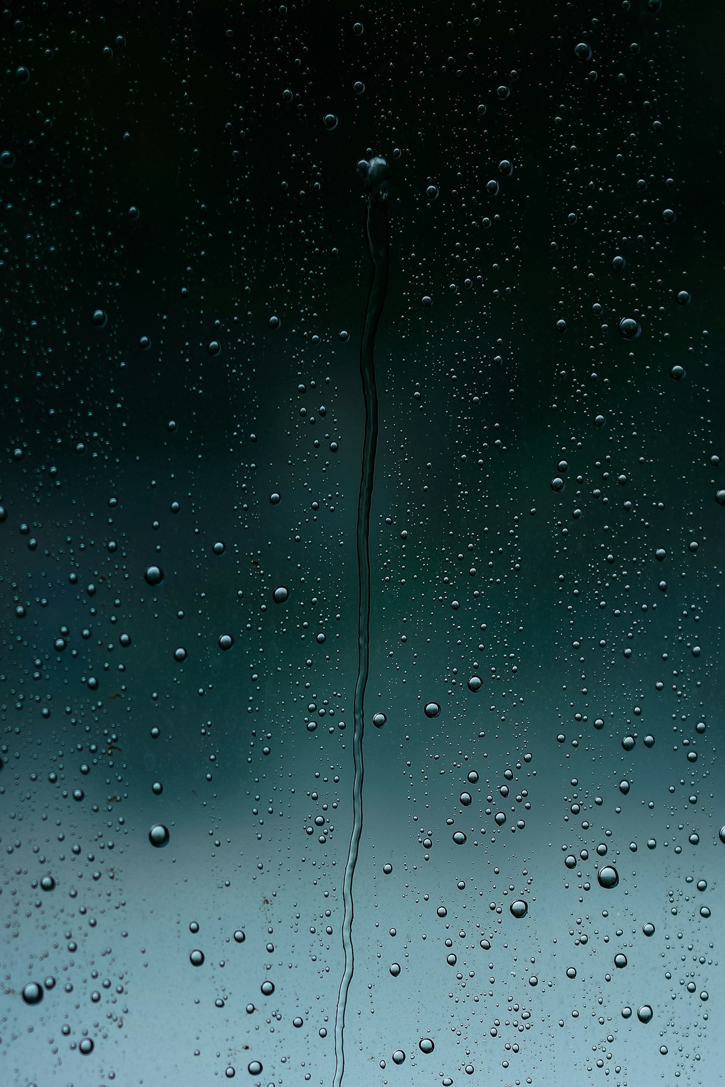 Quiet moments amidst the heavy downpour