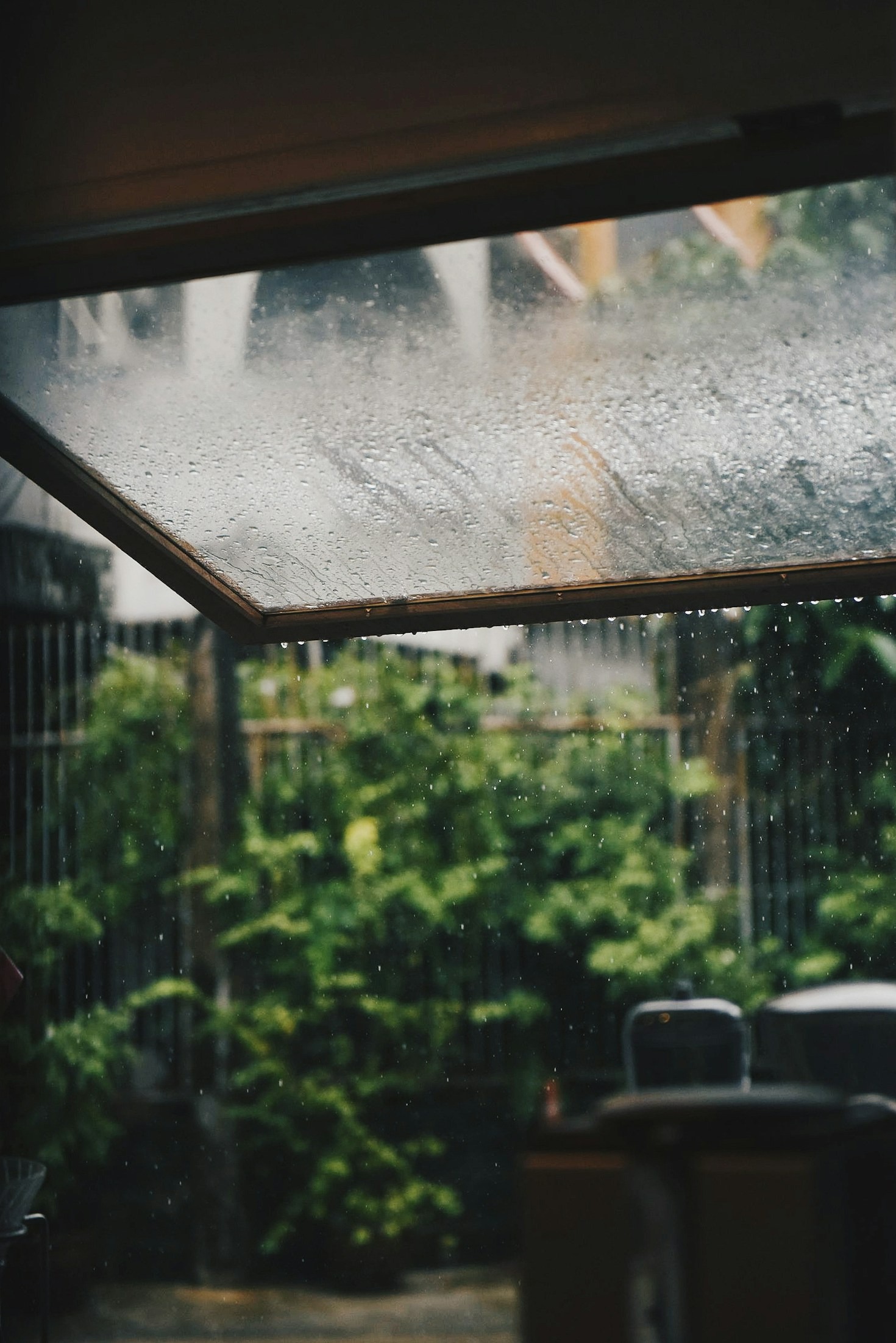 Tracing the path of black rain